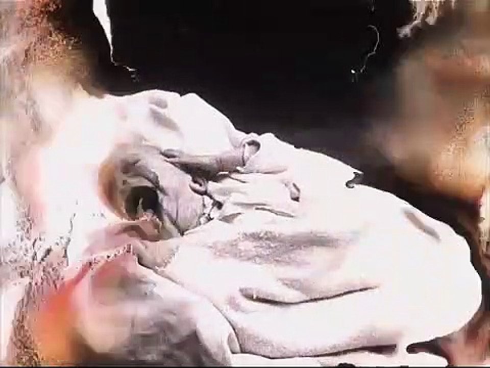 TRIBUTES -- Pulse (official trailer)