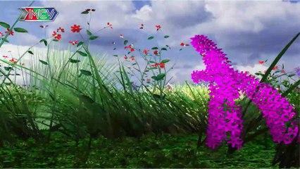 Thắng Lợi - Ngọc Thảo - Văn Điều - Đan Quyên - VỢ CHỒNG SON - Tập 162 - 18_09_2016