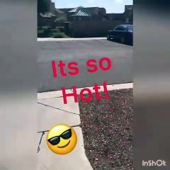 J.P Mobile Notary document examples