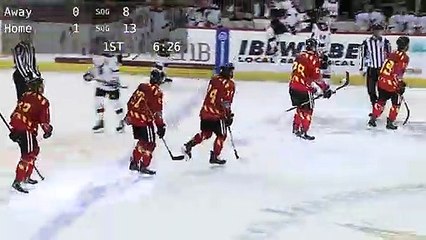 Game Recap - Wheeling Nailers at Indy Fuel