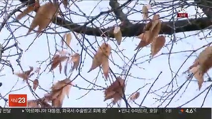 [날씨] 비구름 뒤로 찬바람…내일 영하권 강추위