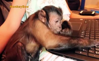 The Nightmare Review: Four Eyes (Part 2)