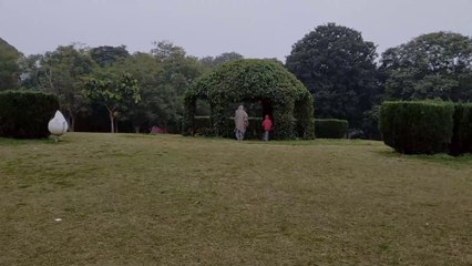 Heaven on Earth - Chandigarh!!! ❤️ | VLOG #1