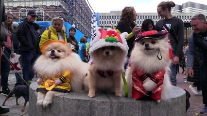 Der tierische Jahresrückblick 2019
