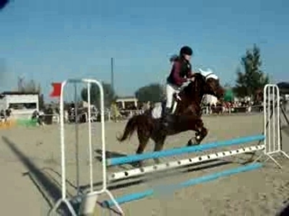 MOV03923