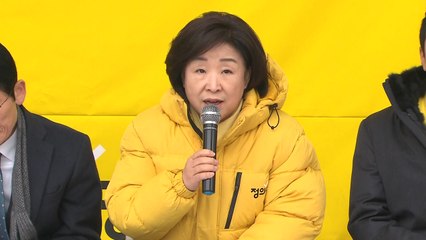 심상정 "비례한국당, 선거제 개혁에 역행...꼼수" / YTN