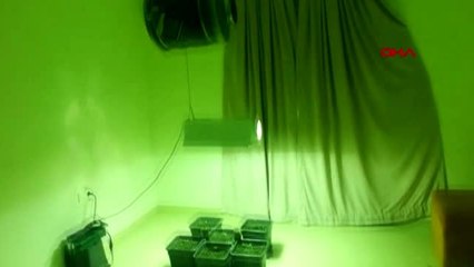 Antalya aranan şüpheliler sahte kimlikle yakalandı