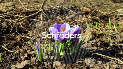 ¿Cómo puedes invertir tu dinero de forma sostenible?