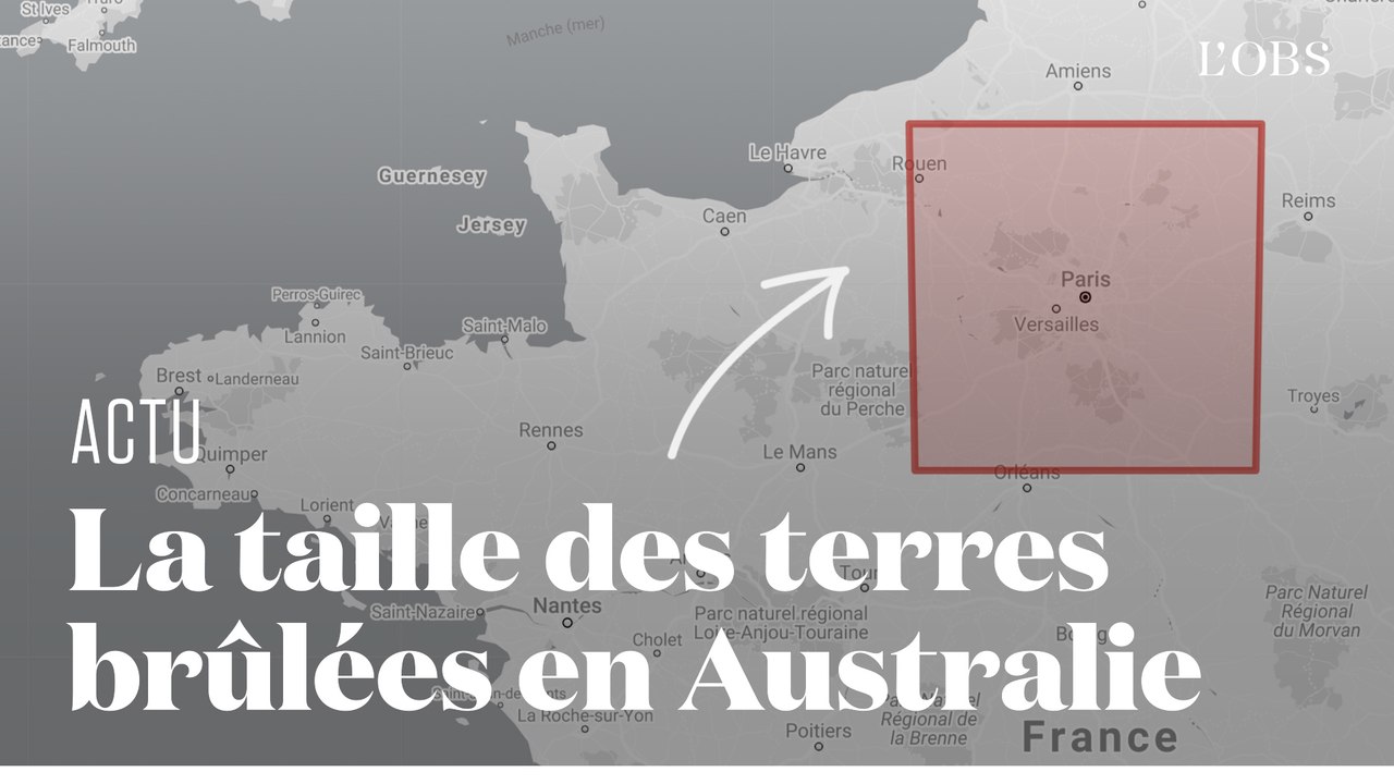 En Australie, les incendies ont ravagé une superficie équivalente au Costa Rica