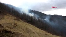Trabzon bakan pakdemirli karadeniz'deki yangınların tamamı söndürüldü