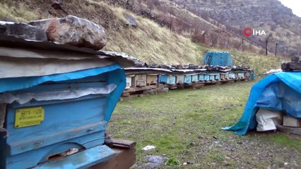 Kış Uykusuna Yatan Bal Arılarını Soğuktan Branda ve Saçlarla Koruyorlar