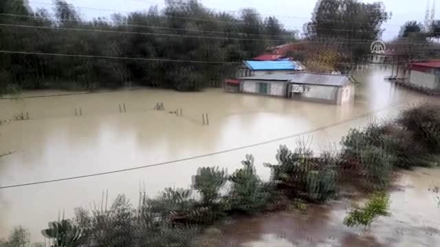 Kozan ilçesinde sağanak nedeniyle bazı evleri su bastı