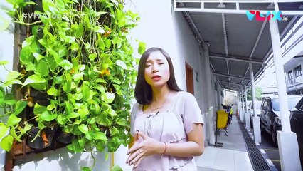 Gerhana Matahari, Sel Setnov Dibongkar dan Pungli Wisata