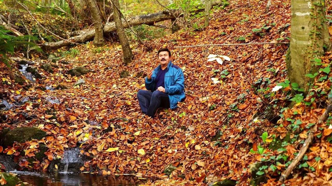 Faruk Yılmaz - Nasıl Oldu Da Yavrum Ayrıldım Senden