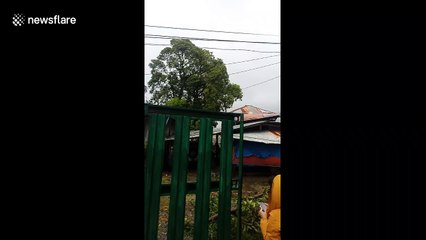 Typhoon Phanfone leaves trail of destruction in the Philippines