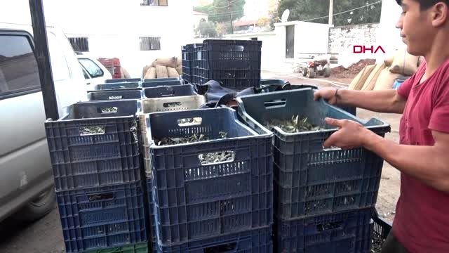 5 bin yıllık taş baskı geleneği kazdağları'nda sürüyor