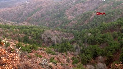 Çorum kayıp alzheimer hastasını komandolar arıyor
