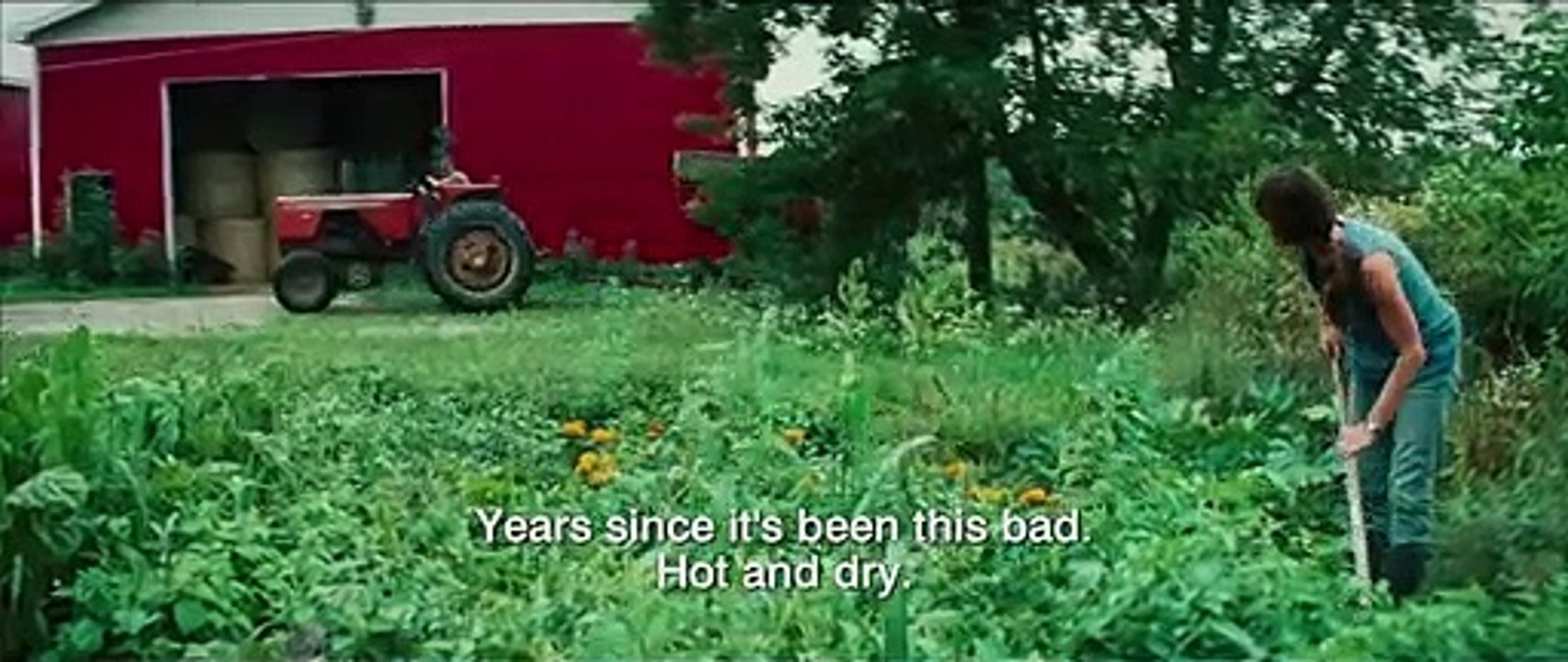 Wetlands (Marécages)