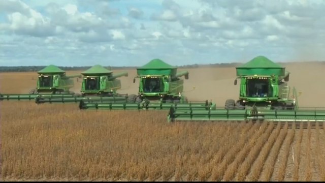 Brazil indigenous seek to capitalise on agribusiness