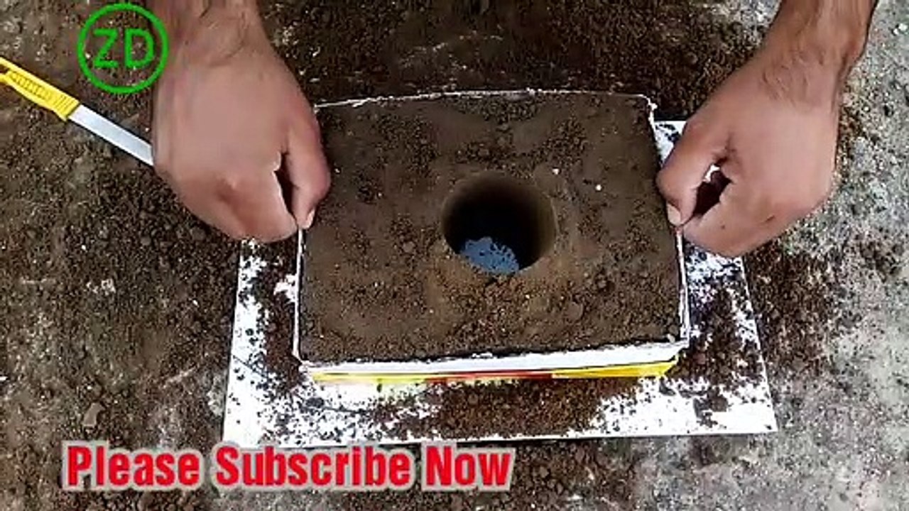 Egg Experiment 2020