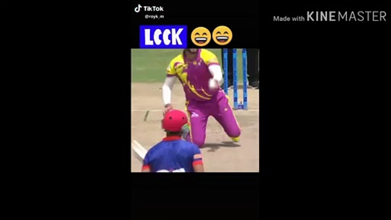 Funny Cricket movment in ground_1080p