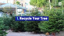 5 Eco-Friendly Ways to Get Rid of Your Christmas Tree