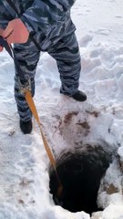 Samoyed Rescued from a Deep Hole