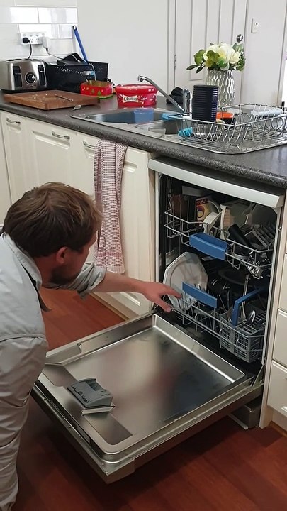 Deadly Snake Discovered in Dishwasher