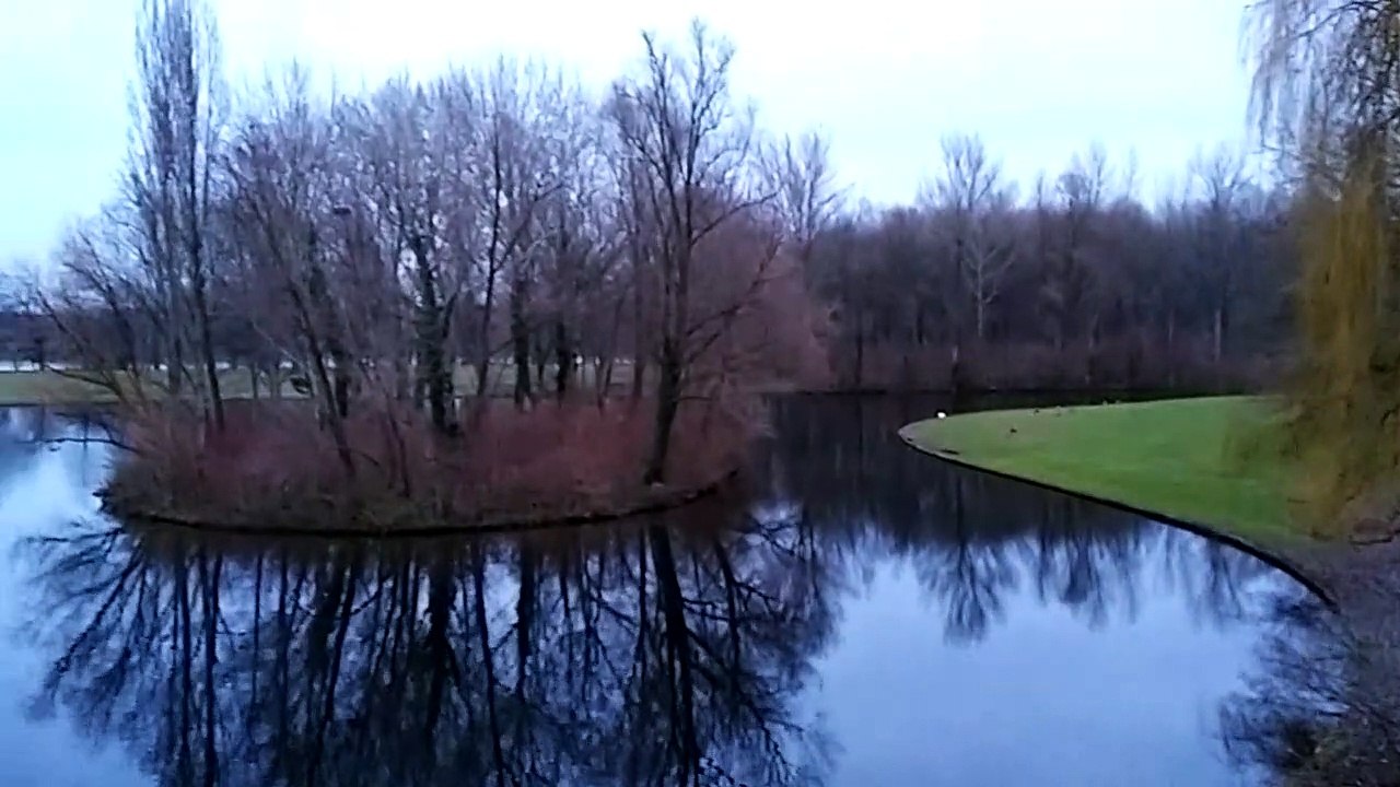 Rheinaue, Bonn (2-6)