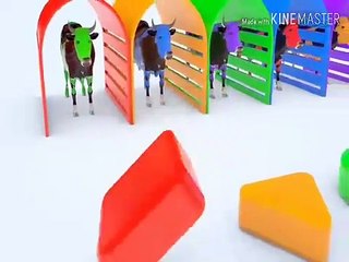 Impara I Colori con animali filastrocche canzonij