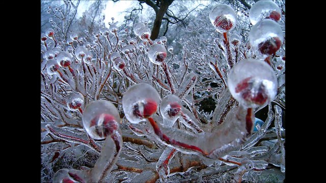 Quand l'hiver jouent les artistes... Images magnifiques
