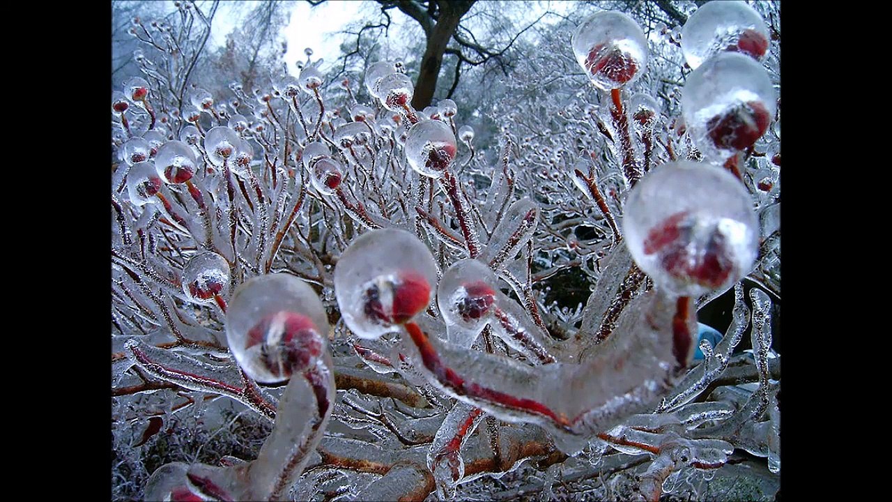 Quand l'hiver jouent les artistes... Images magnifiques