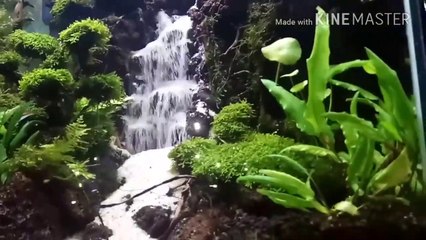Ce passionné crée une chute d'eau dans son aquarium...