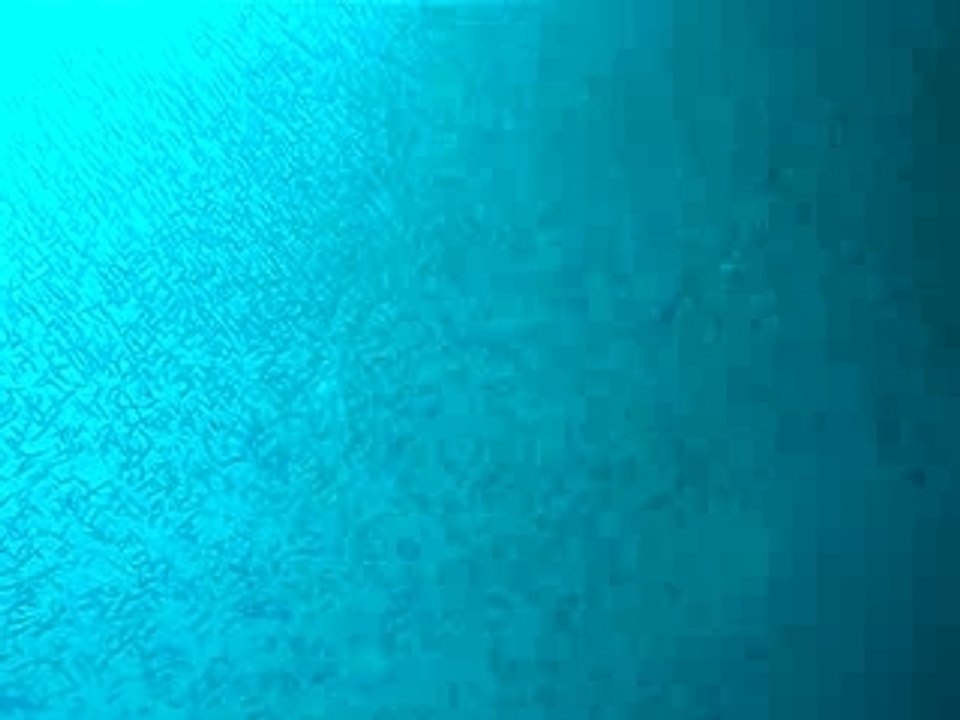 Plongee Glassfish Thailande