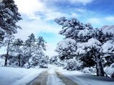 DESERT SNOWFALL! Surreal snowy spots in Arizona - ABC15 Digital