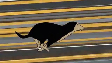 Abandono de animais - curta-metragem animado