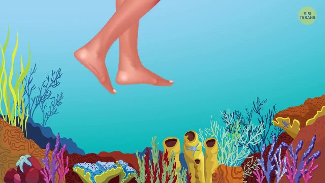 Apakah Hiu Benar-Benar Bisa Mencium Bau Darah dari Jarak 1 Mil