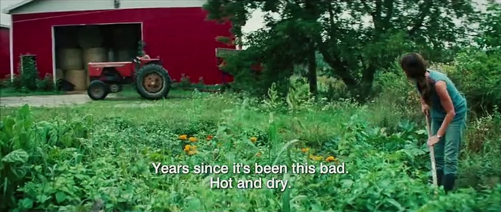 Wetlands (Marécages)