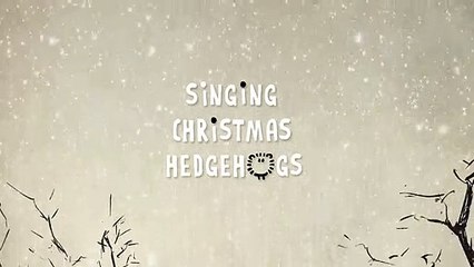 Singing Christmas Hedgehogs from Birdbox Studio