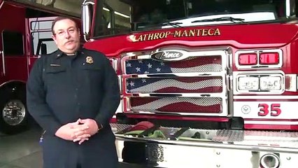 Dog rescued after chasing cat up tree