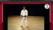 21- Nijushiho - Kata Shotokan Karate