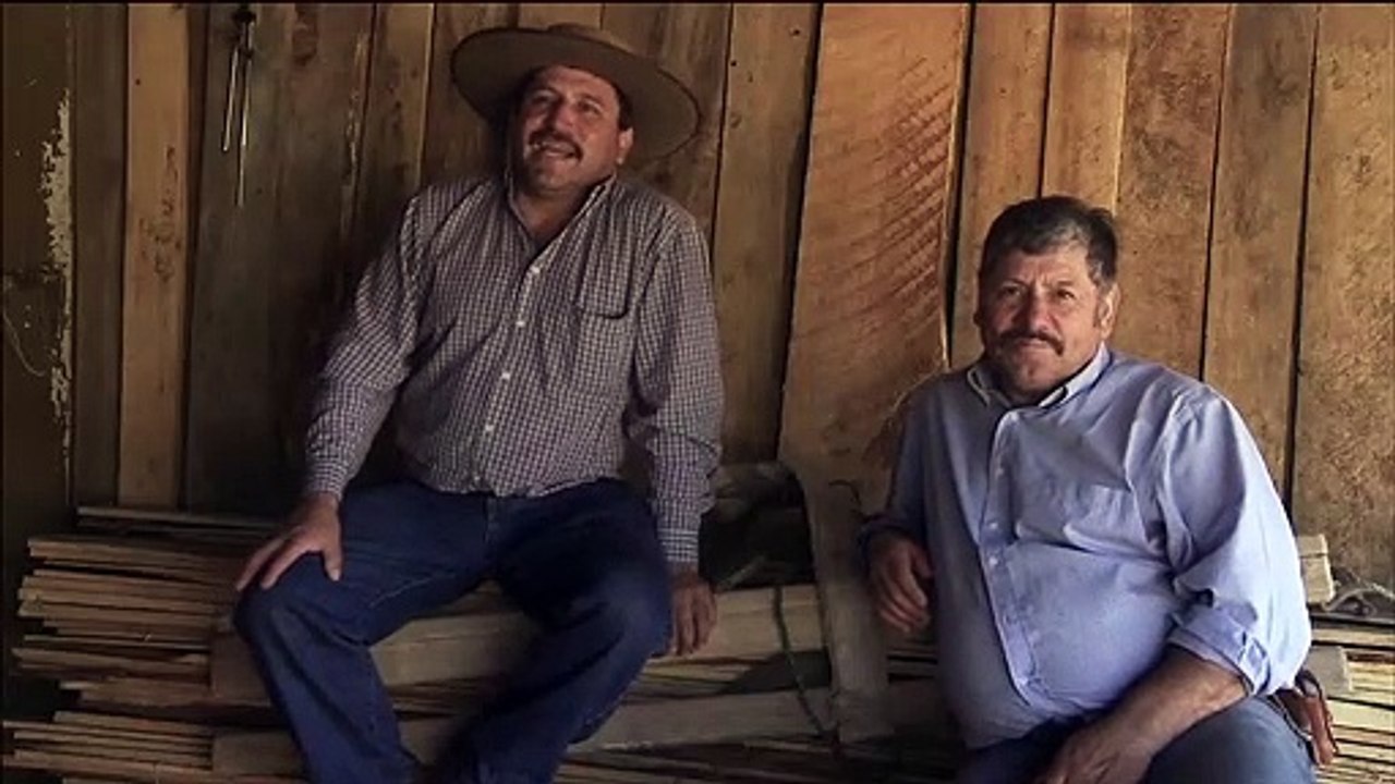 TRAILER EL MOCITO chile
