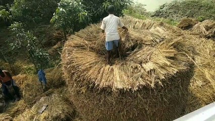 Desi jugar! puaal ka tal kase banta ha