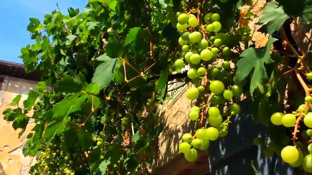 VILLAGE OF FRANCE sound - Bird &  water flowing  Summer holidays relaxation travel zen nature Francia फ्रांस 法国 Perancis Frankreich فرنسا 프랑스 フランス França Франция ফ্রান্স ਫ੍ਰੈਂਚ Prancis Frankrijk Fransa 村 قرية pueblo 村 Vila деревня गाँव kampung Desa گاؤں