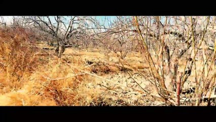 Pakhtoon Land Ep 002 In Dhab Khanzai (Vlog) By Pakhtoon Vlogs & Pakhtoon Vines