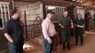 Checking the Horses | The Incredible Dr. Pol