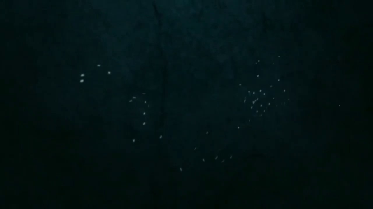 Custard Fruit Salad recipe || Fruit Salad with Custard Recipe || Quick Dessert Recipe