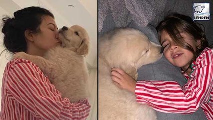 Kourtney Kardashian Gifts Kids Penelope, Mason & Reign A Golden Retriever For Christmas!