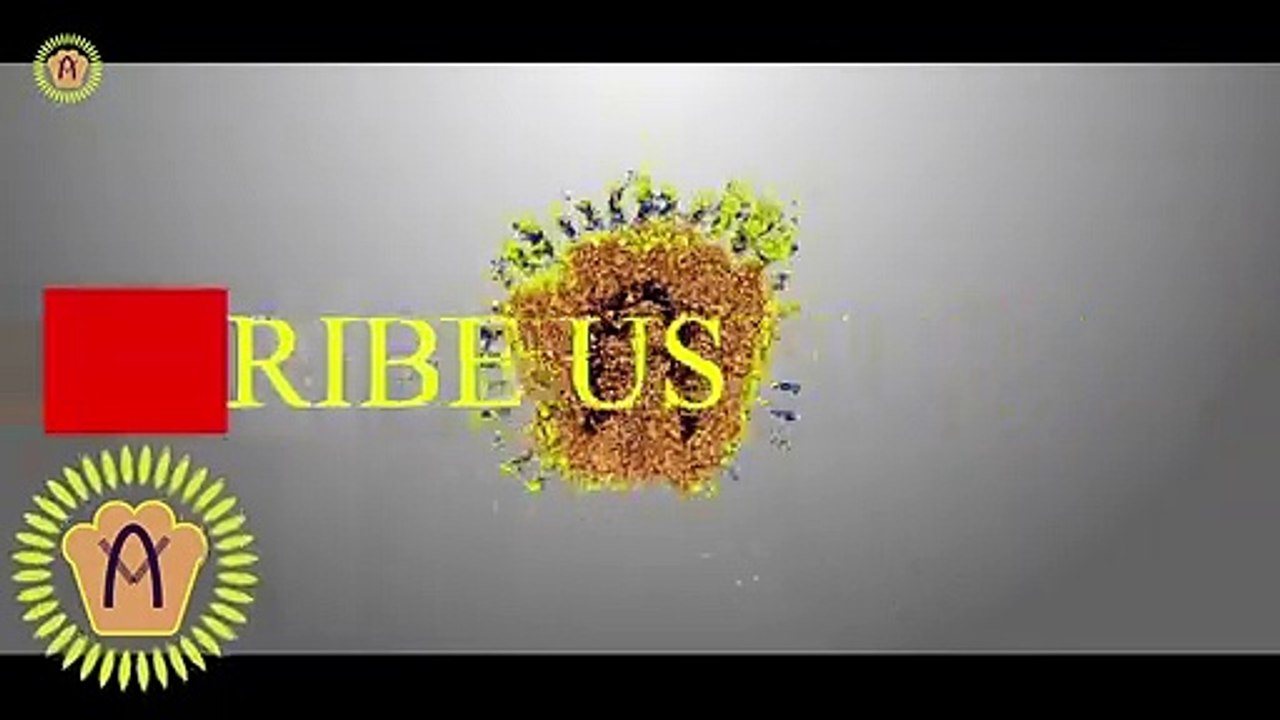 Adobe Illustrator Training - Class 2 - Selection Tool Urdu / Hindi |  @Aanav Creations