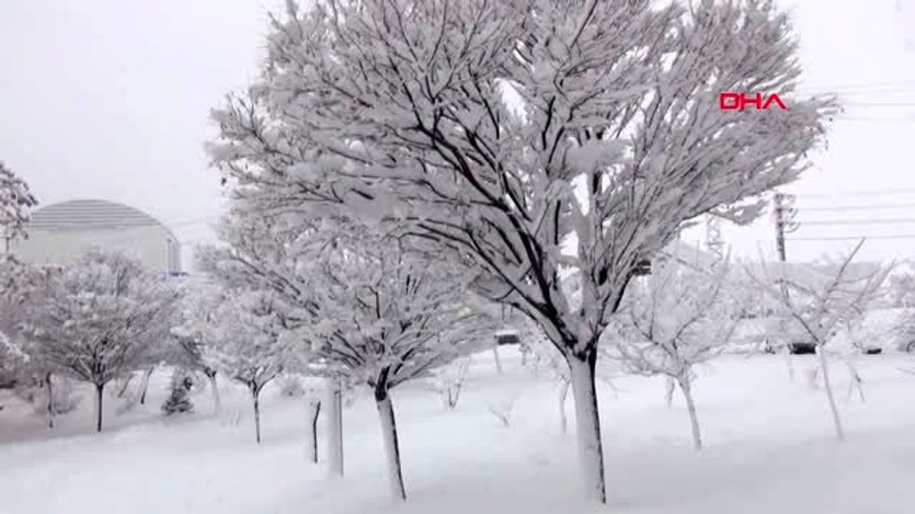 Van başkale ile bahçesaray ile hakkari merkez ve yüksekova'da okullara kar tatili
